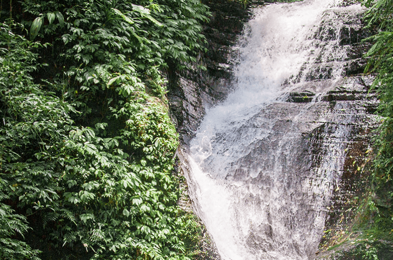 Waterfall Sustainability Showing